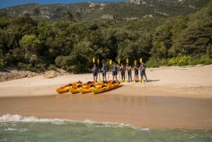 São Lourenço: Luiz Saldanha & Arrábida Park Canoeing Tour