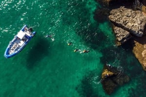 Arrábida Natural Park: Coasteering Trip with Speedboat Ride