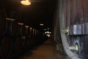 Arrábida: Private Wine Tour with Wine & Cheese Tasting