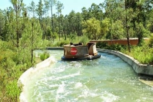 Badoca Safari Park Full-Day Tour from Lisbon
