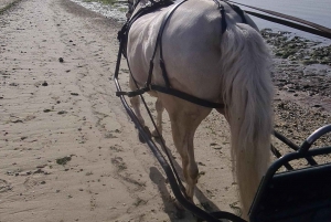 CARRIAGE Ride On The Beach (Rosário Beach)