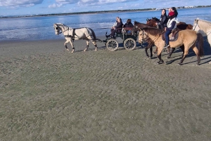 CARRIAGE Ride On The Beach (Rosário Beach)