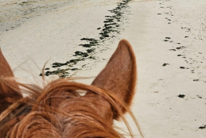 CARRIAGE Ride On The Beach (Rosário Beach)