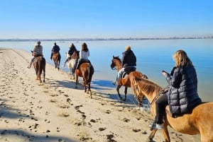 Horseback riding trough the beach GROUP - PDT