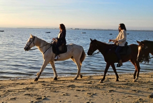 Horseback riding trough the beach GROUP - PDT