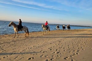 Horseback riding trough the beach GROUP - PDT