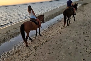 Horseback riding trough the beach GROUP - PDT