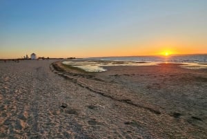 Horseback riding trough the beach GROUP - PDT