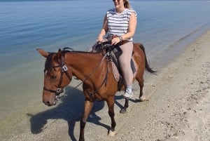 Horseback riding trough the beach GROUP - PDT