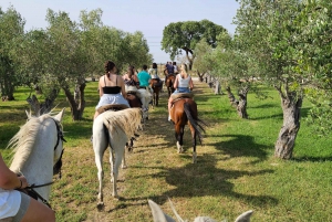 Horseback riding trough the beach GROUP - PDT