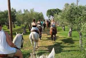 Horseback riding trough the beach GROUP - PDT