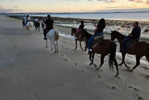 Horseback riding trough the beach GROUP - PDT