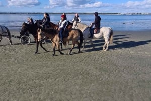 Horseback riding trough the beach GROUP - PDT