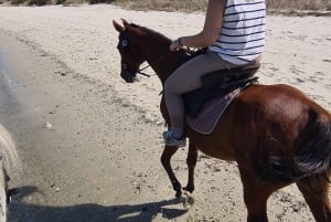 Horseback riding trough the beach GROUP - PDT