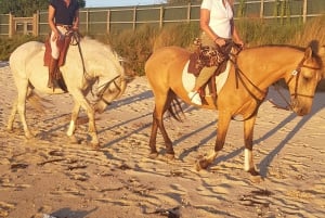 Horseback riding trough the beach GROUP - PDT