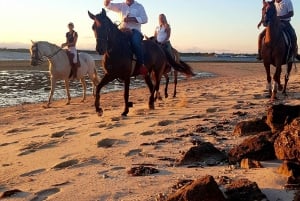 Horseback riding trough the beach GROUP - PDT