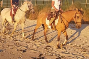 Horseback riding trough the beach GROUP - PDT