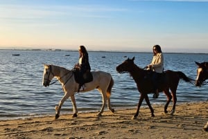 Horseback riding trough the beach GROUP - PDT