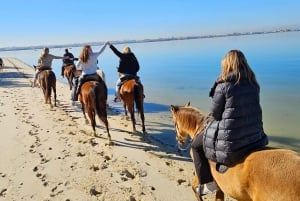 Horseback riding trough the beach GROUP - PDT