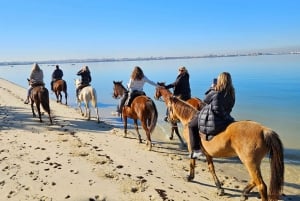 Horseback riding trough the beach GROUP - PDT