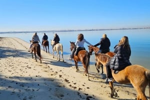 Horseback riding trough the beach GROUP - PDT