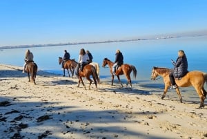 Horseback riding trough the beach GROUP - PDT