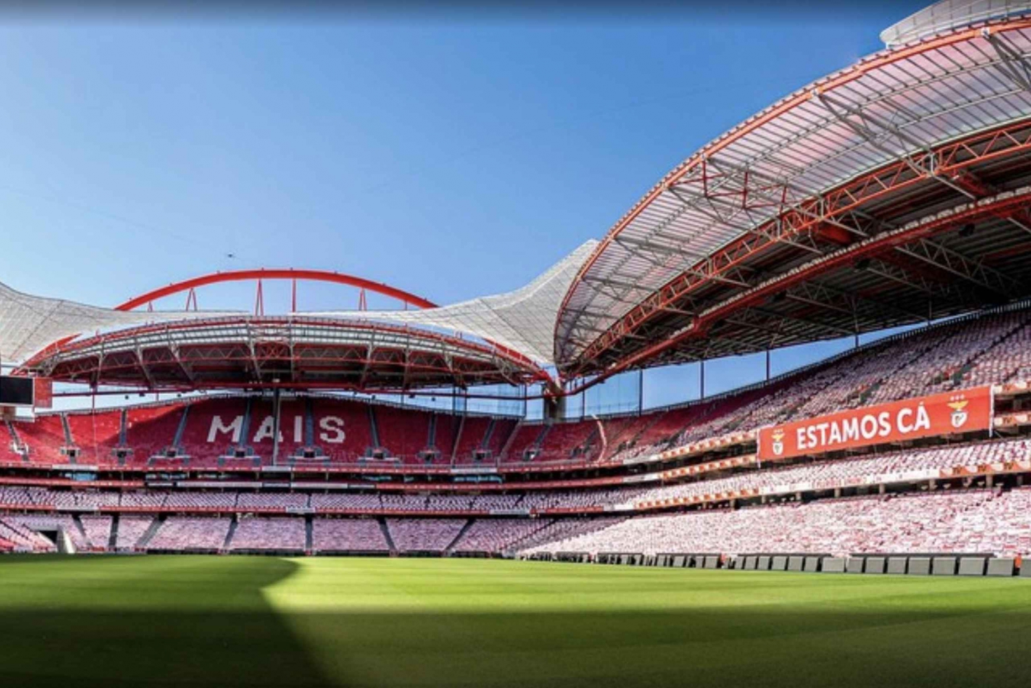 Benfica Stadium and Museum Tour
