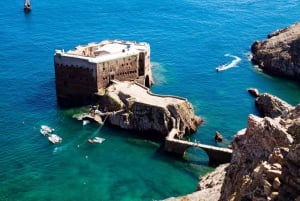 Berlengas The Atlantic Frontier: Day Tour from Lisbon