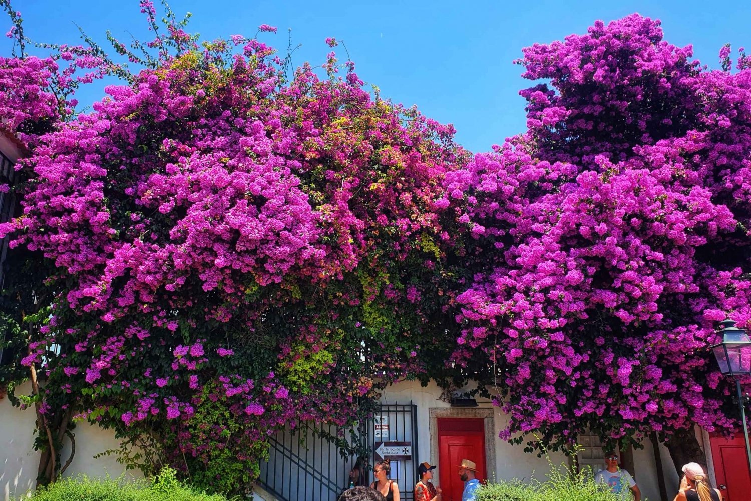 Discover-the-Romantic-Side-of-Belem