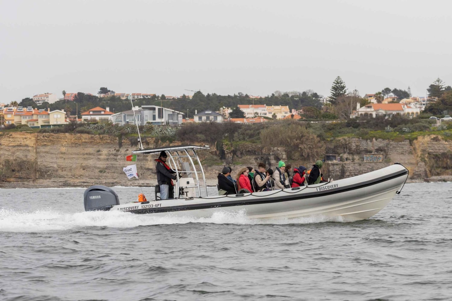 Birdwatching Boat Tour in the Tagus Estuary