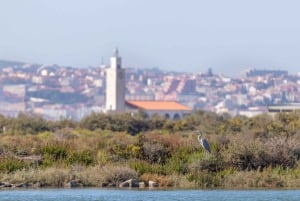 Birdwatching Boat Tour in the Tagus Estuary