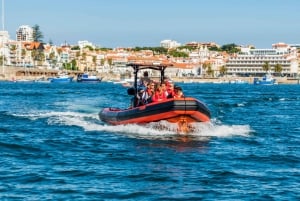 Bootstour: Zauberhafte Küste von Cascais zum Leuchtturm von Lissabon