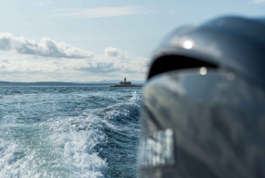 Bootstour: Zauberhafte Küste von Cascais zum Leuchtturm von Lissabon