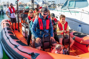 Bootstour: Zauberhafte Küste von Cascais zum Leuchtturm von Lissabon
