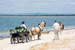 CARRIAGE Ride On The Beach (Rosário Beach)