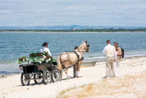 CARRIAGE Ride On The Beach (Rosário Beach)