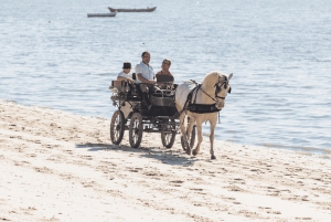 CARRIAGE Ride On The Beach (Rosário Beach)