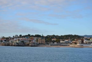 Cascais: Sailing Tour with Drink