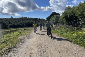 Cascais-Sintra E-bike Tour: Coast & Countryside Adventure