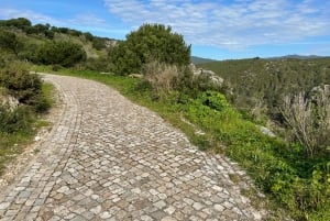 Cascais-Sintra E-bike Tour: Coast & Countryside Adventure