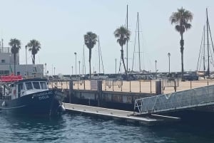 Cascais: crociera al tramonto a Lisbona con open bar