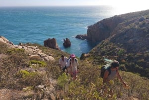 Cascais: Wild Coast Hike to a Secluded Swim Spot