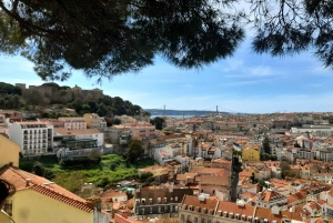 Chaparru's Lisbon Essentials 5 H Tuk Tuk Tour