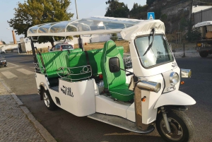 Luces de Navidad en Lisboa : Tour privado en tuktuk