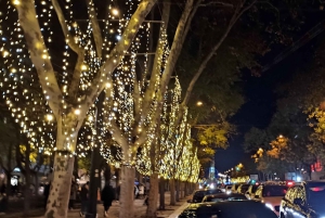 Luces de Navidad en Lisboa : Tour privado en tuktuk