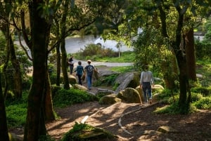 Z Lizbony - Regaleira, Cabo da Roca, Las i prawdziwa Sintra