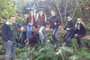 Discover Sintra and Cascais in a Portuguese 4WD