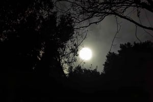 Discover Sintra and Cascais in a Portuguese 4WD