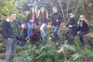 Descubra Sintra e Cascais em um veículo com tração nas quatro rodas português