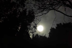 Descubra Sintra e Cascais em um veículo com tração nas quatro rodas português